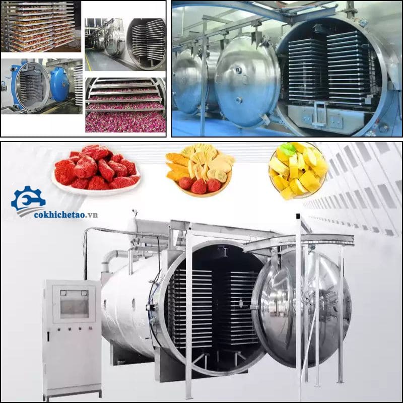 Máy sấy hoa quả thăng hoa Máy sấy hoa quả thăng hoa