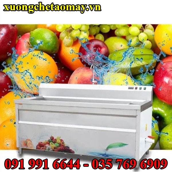 Máy rửa trái cây rau củ tự động